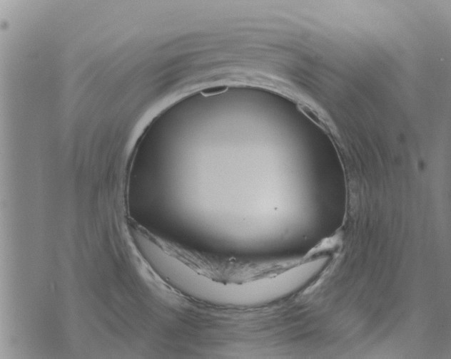 X0000073931530200609082250