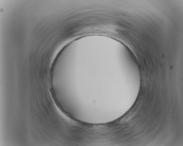 X0000073931531200609082250