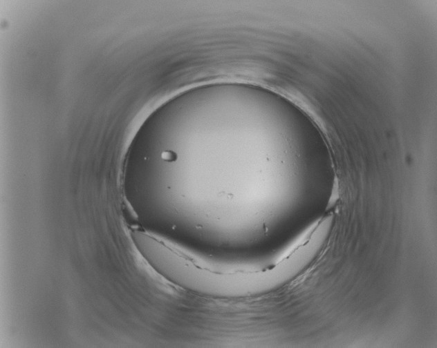 X0000073931532200609082250