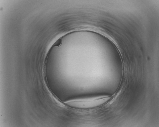 X0000073931533200609082250