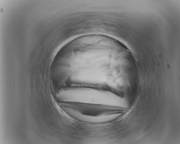 X0000073931534200609082250