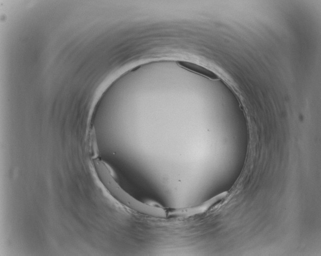 X0000073931536200609082250