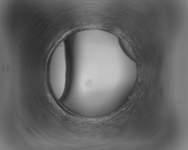 X0000073950002200608210954