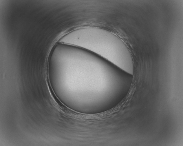 X0000073950003200608210954