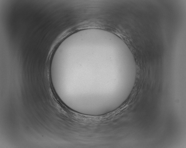 X0000073950004200608210954