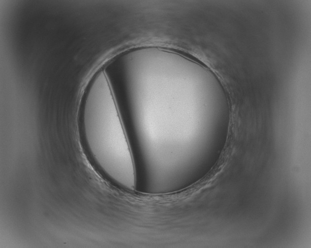 X0000073950007200608210954
