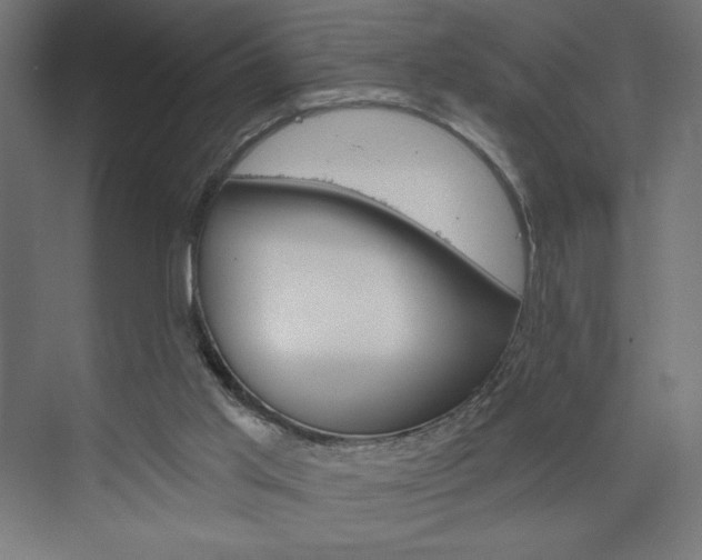 X0000073950013200608210954