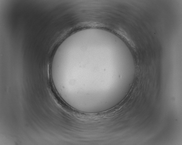 X0000073950014200608210954