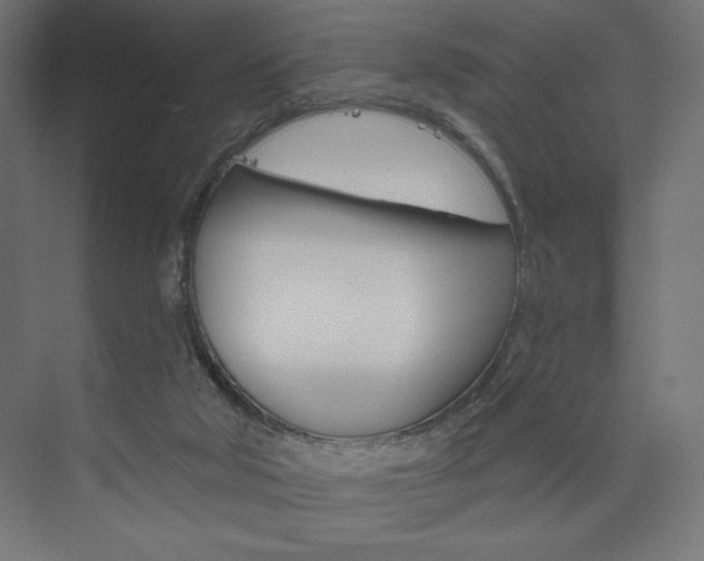X0000073950018200608210954