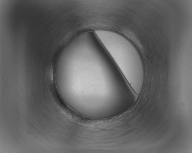 X0000073950021200608210954