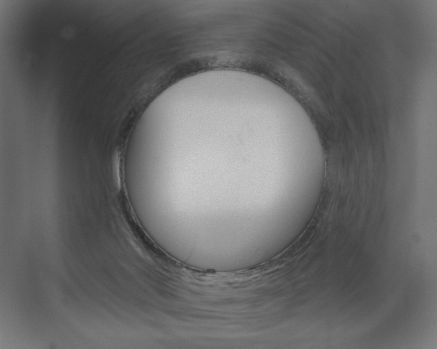X0000073950022200608210954
