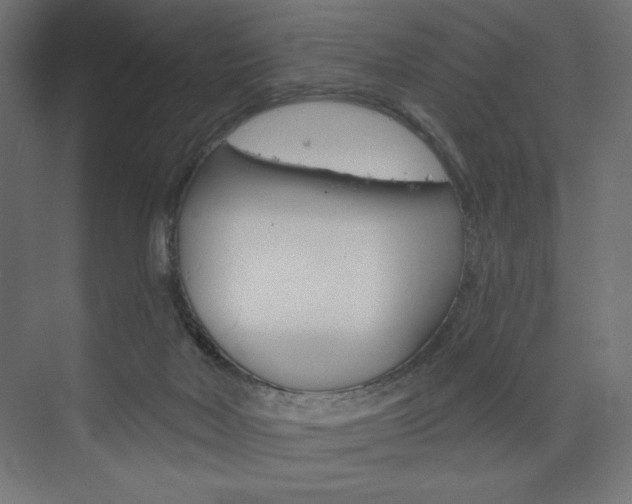 X0000073950026200608210954