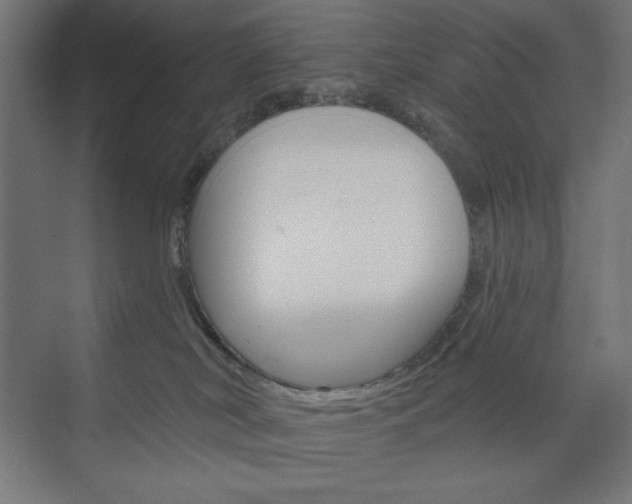 X0000073950038200608210954