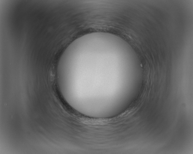 X0000073950040200608210954