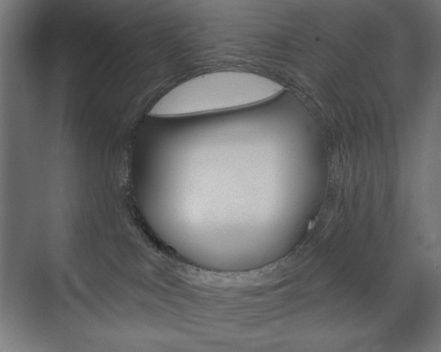 X0000073950043200608210954