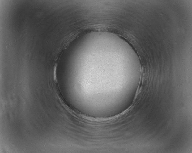 X0000073950047200608210953