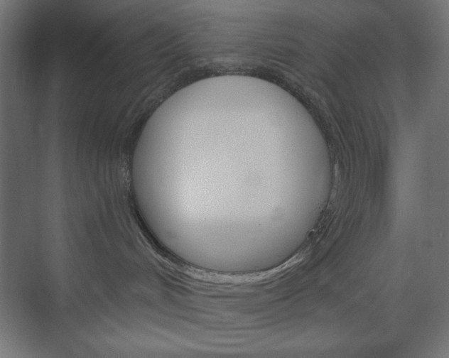 X0000073950048200608210953
