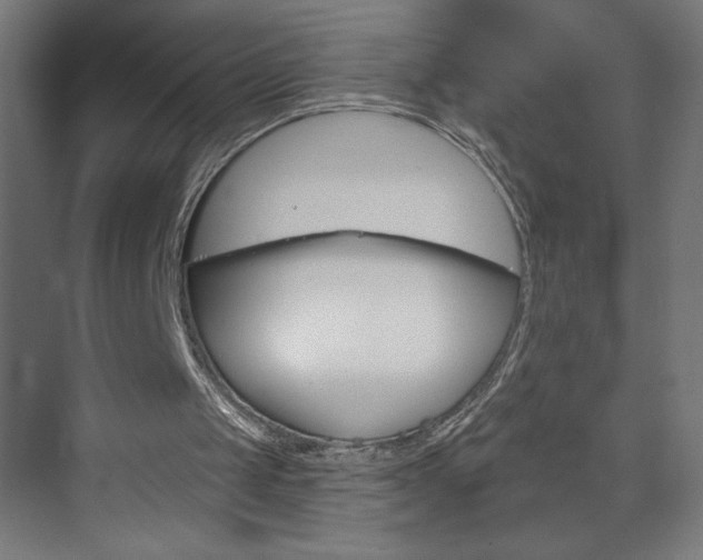 X0000073950049200608210953