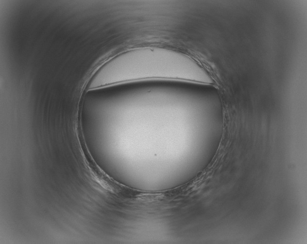 X0000073950051200608210953