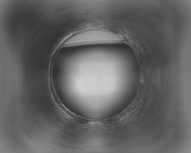 X0000073950052200608210953