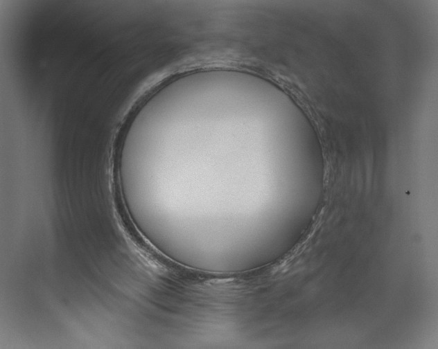 X0000073950054200608210953