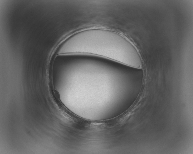 X0000073950055200608210953