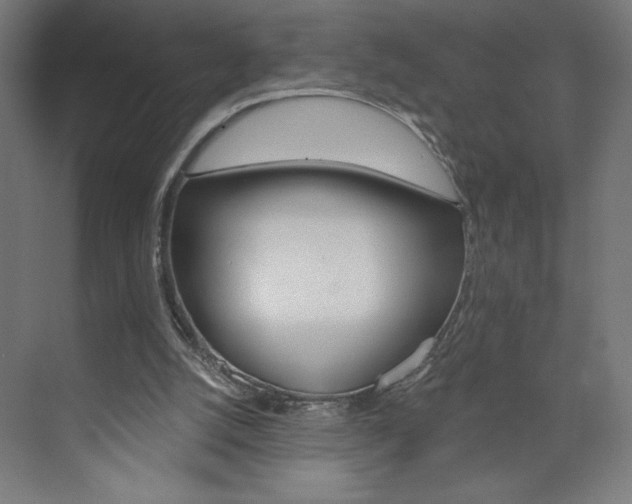 X0000073950056200608210953