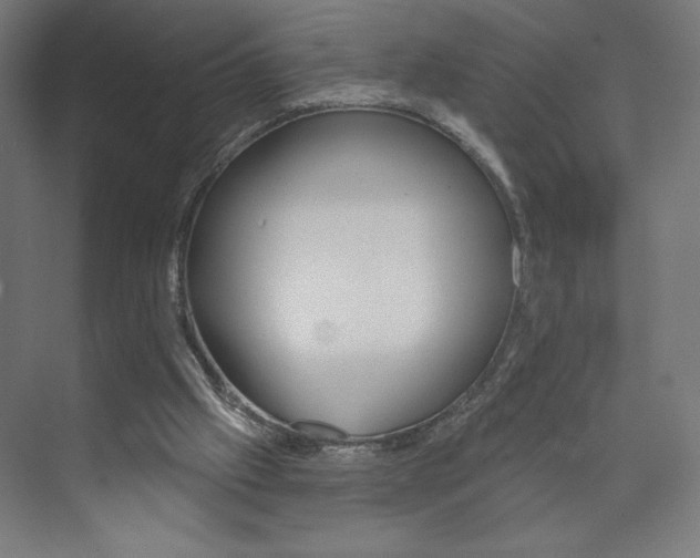 X0000073950057200608210953