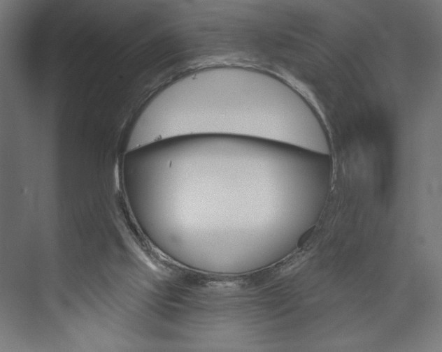 X0000073950061200608210953