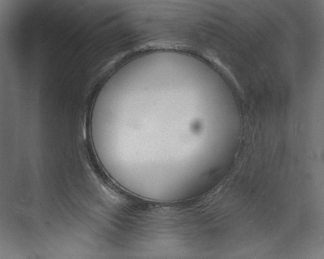 X0000073950062200608210953
