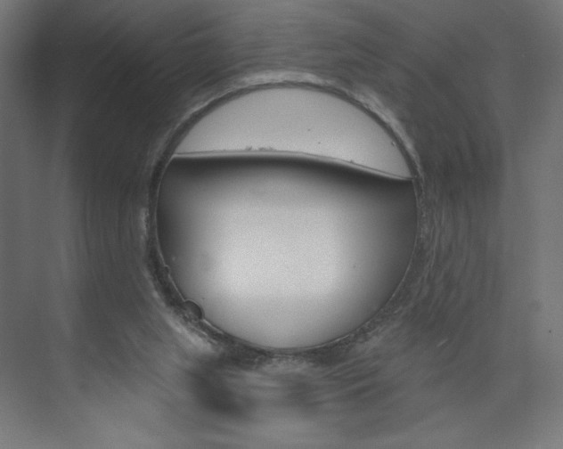 X0000073950063200608210953