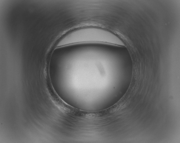X0000073950064200608210953