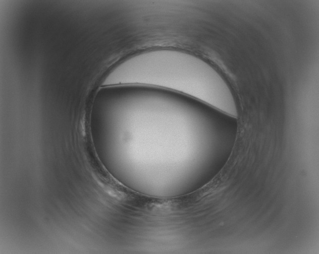 X0000073950068200608210953