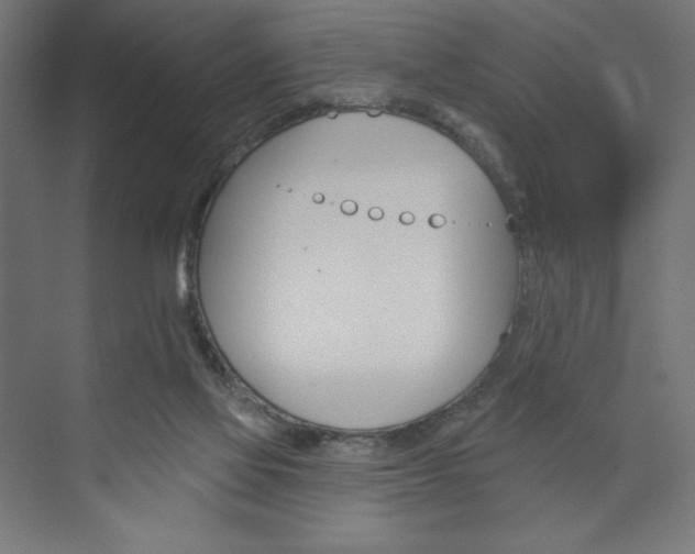 X0000073950069200608210953