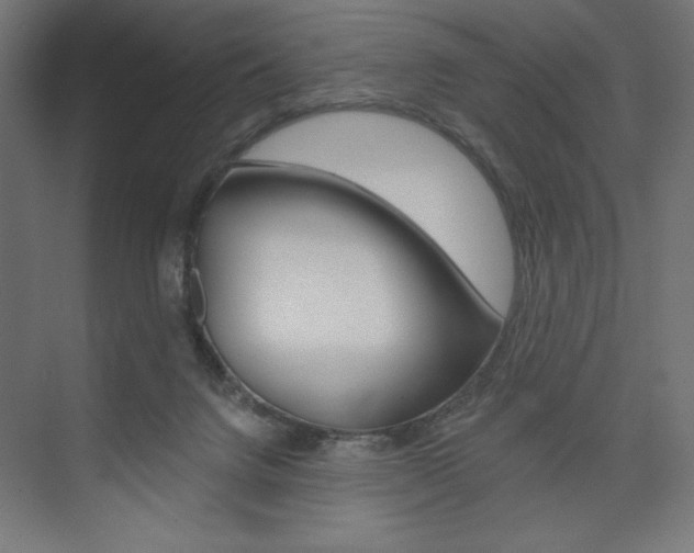 X0000073950072200608210953