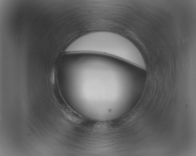 X0000073950076200608210953