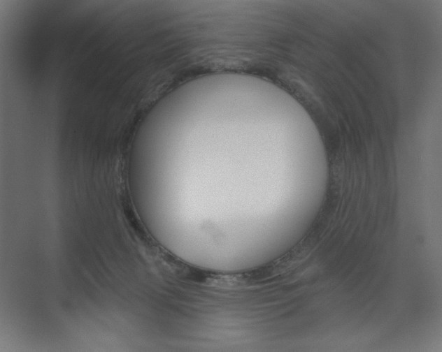 X0000073950079200608210953