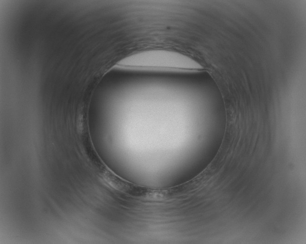 X0000073950080200608210953
