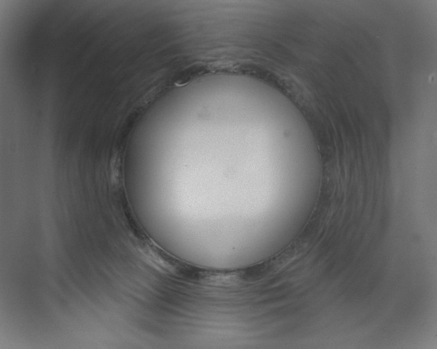 X0000073950081200608210953