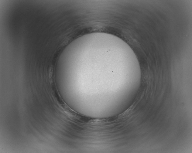 X0000073950082200608210953