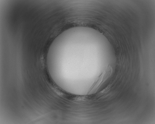 X0000073950086200608210953