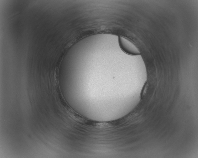 X0000073950087200608210953