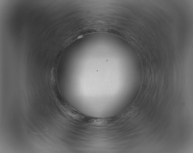 X0000073950088200608210953