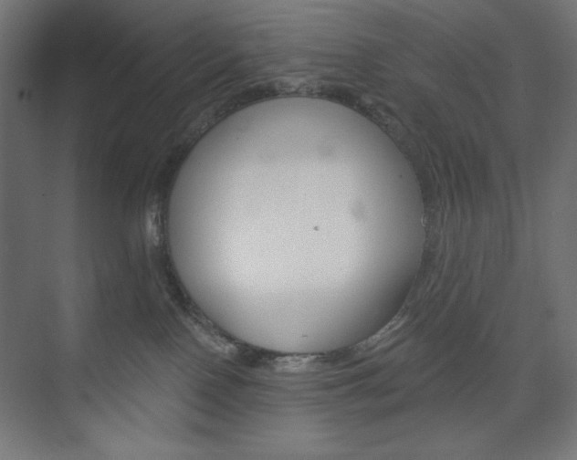 X0000073950090200608210953