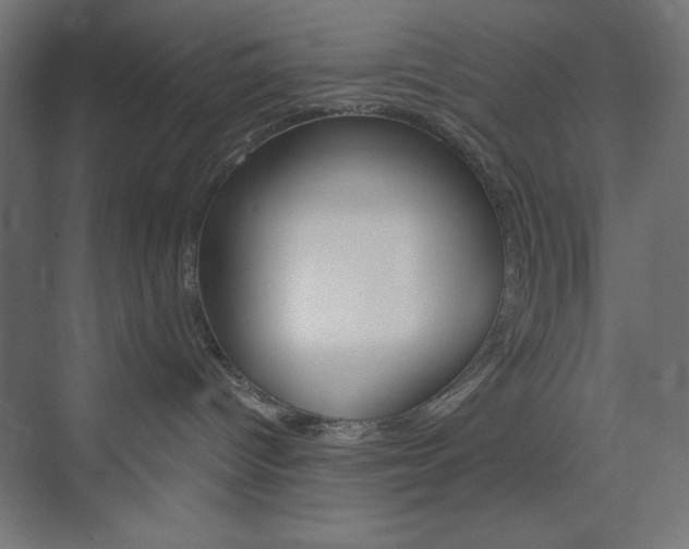 X0000073950096200608210953