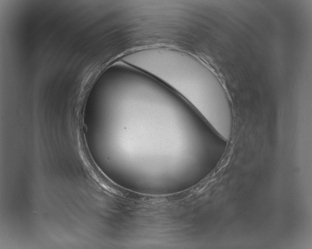 X0000073950097200608210953