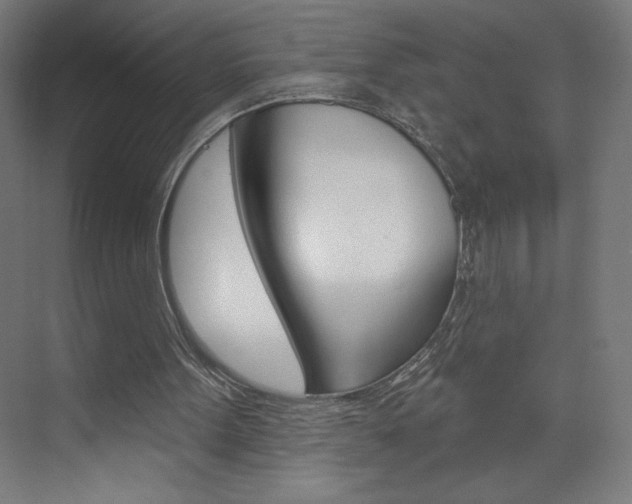 X0000073950099200608210953