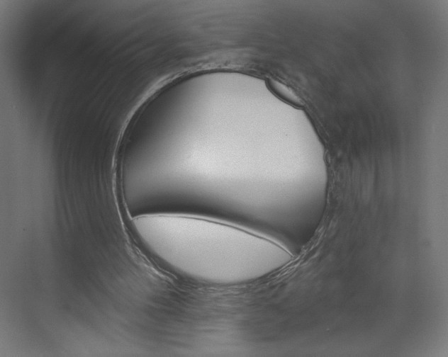 X0000073950100200608210953