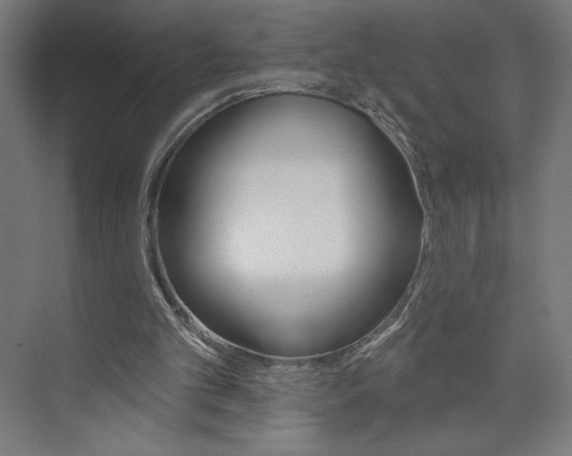 X0000073950101200608210953