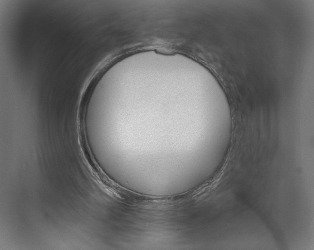 X0000073950102200608210953